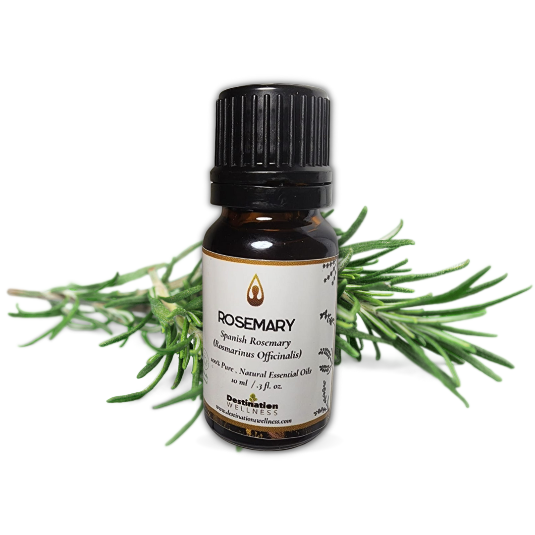 Spanish Rosemary
